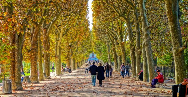 Сад Тюильри осенью