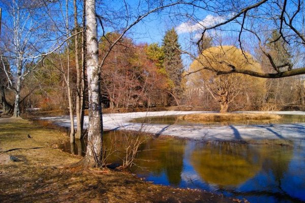 Весна апрель