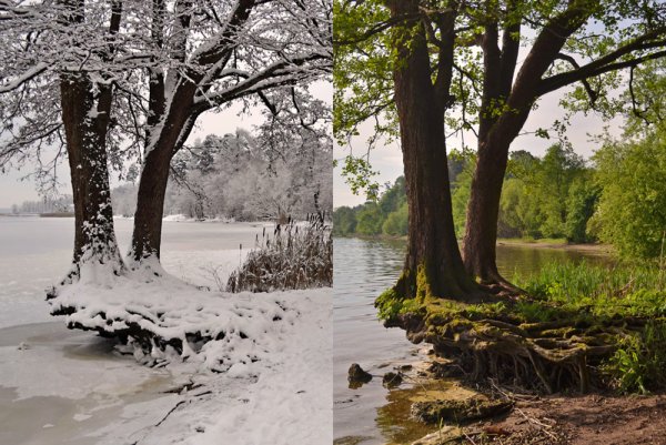 Было стало фото природа