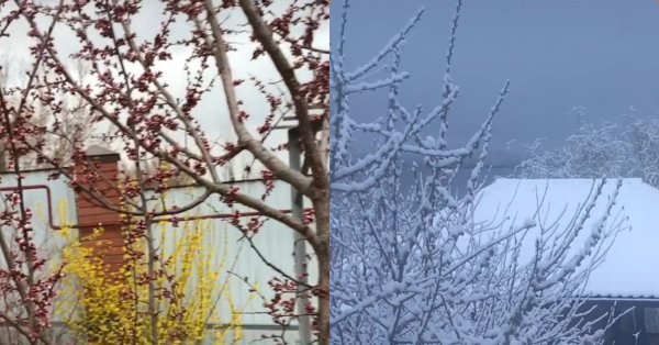 Весенняя погода в Самаре 1980 год