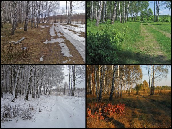 Один пейзаж в разные времена года