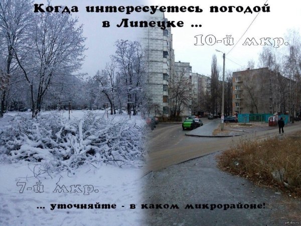 Смешные картинки про Липецк