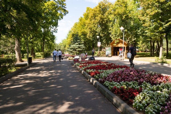 Самарский загородный парк