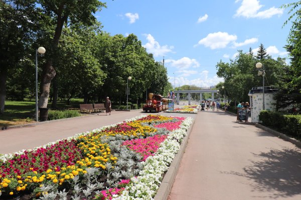 Самарский загородный парк