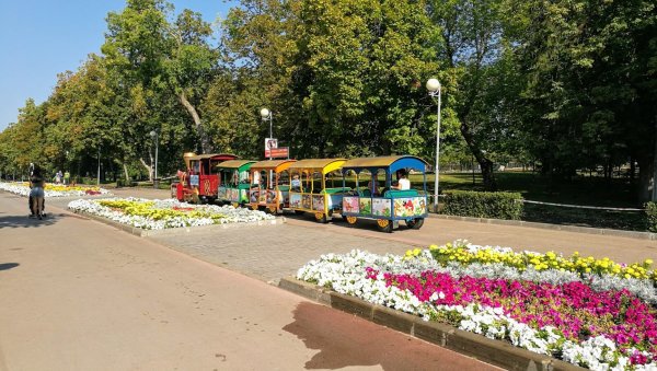 Загородном парке Самара