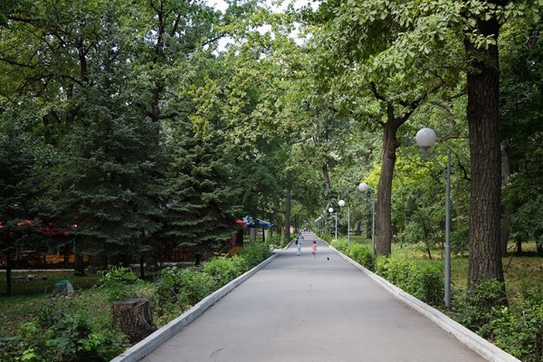 Г Самара загородный парк