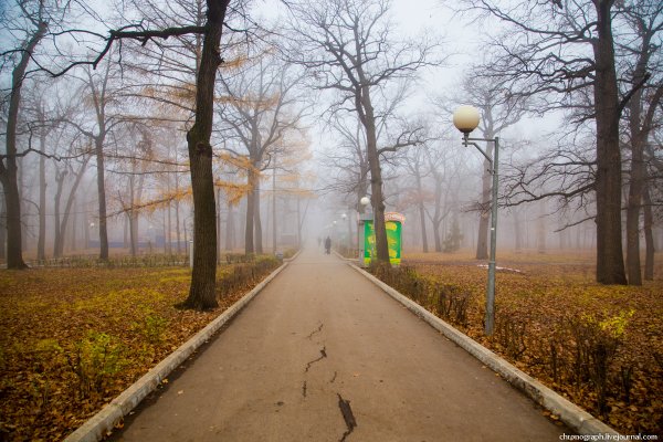 Загородный парк ЦПКИО Самара