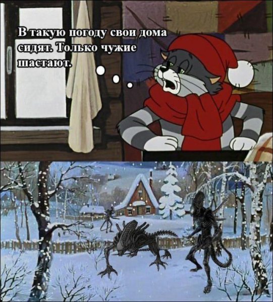 В такую погоду свои дома сидят