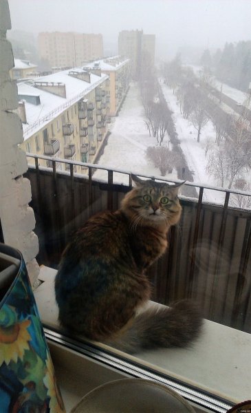 Снег на балконе