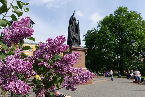 Александровский сад Санкт-Петербург сирень