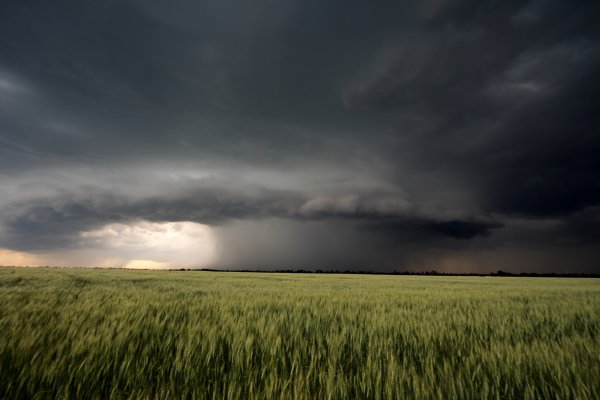 Поле пасмурно