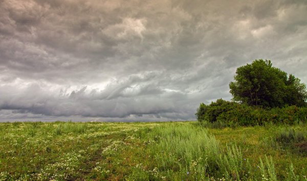 Степь пасмурно