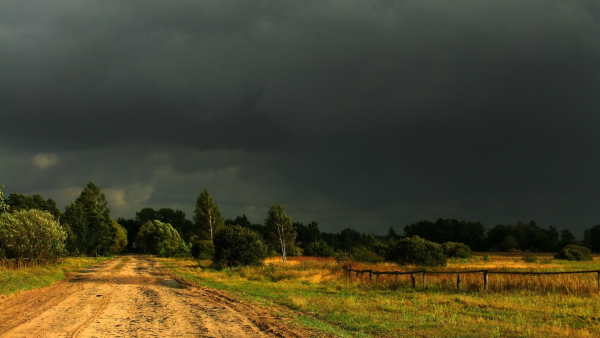 Шишкин перед грозой