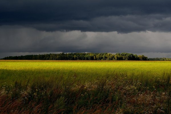 Природа перед грозой
