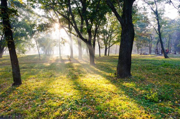 Летний Солнечный парк Швейцария