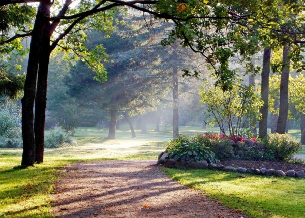 Утро в парке