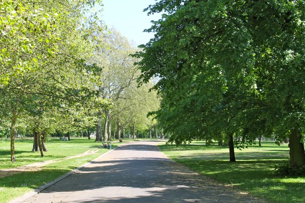 Парк Солнечный сад в Можайске