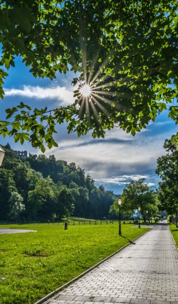 Лето в городе