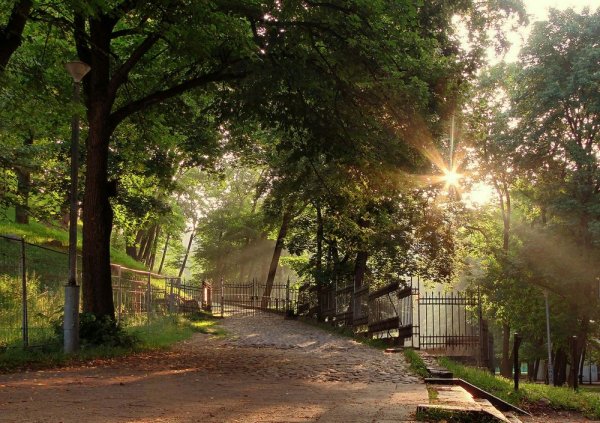 Лето в городе