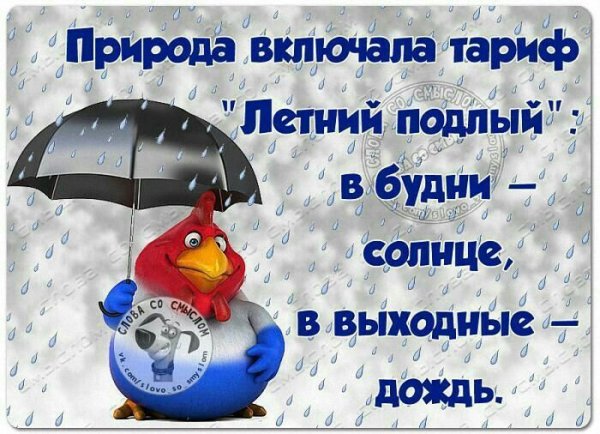 Картинки выходные в дождливую погоду