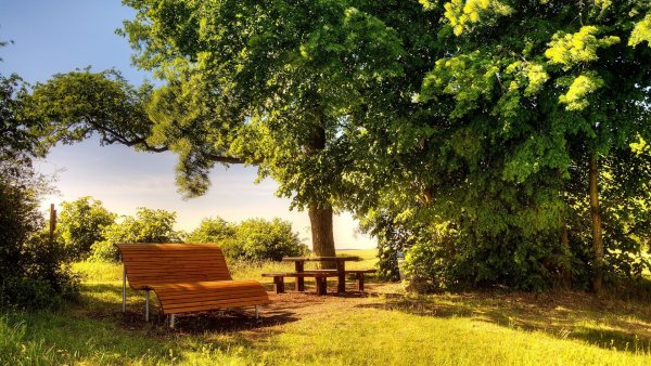 Солнечный пейзаж