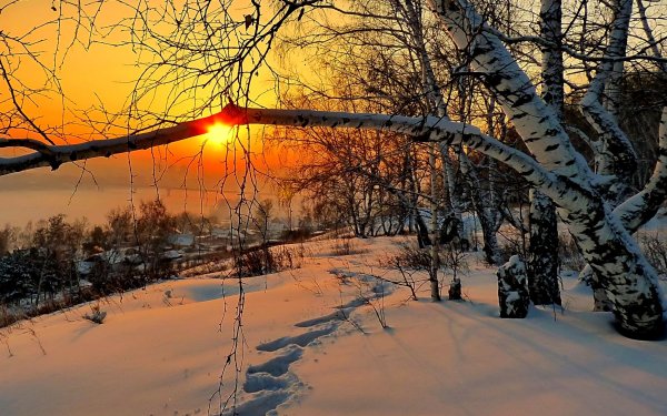 Февральский пейзаж