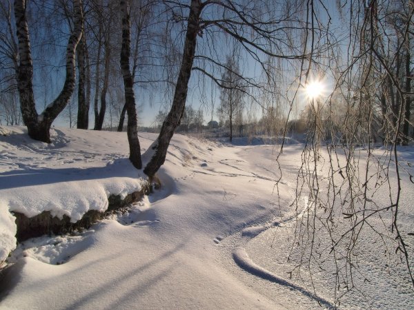Февраль конец зимы