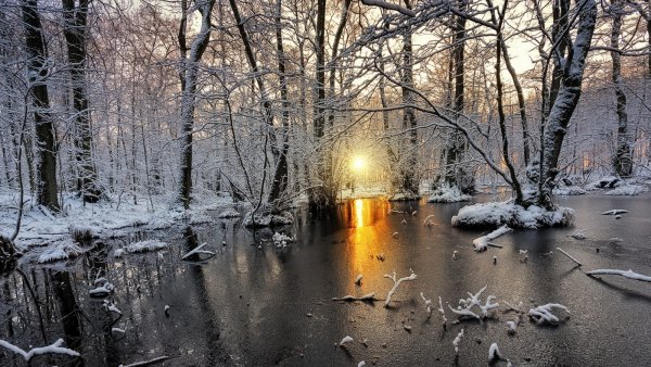 Поздняя осень дождь