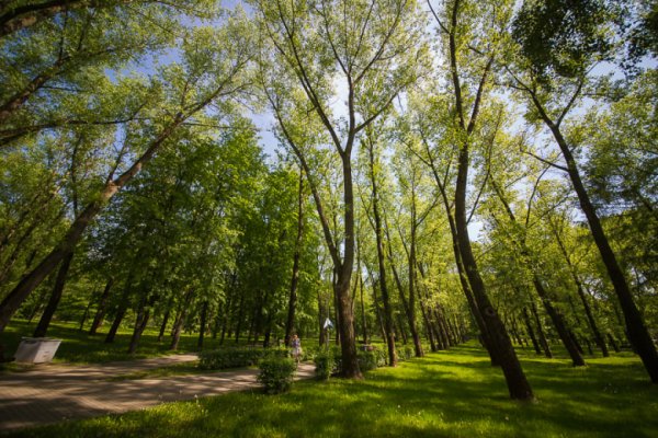 Лощина Минск парк