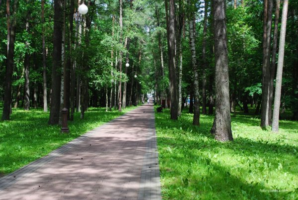 Сквер имени Челюскинцев Челябинск