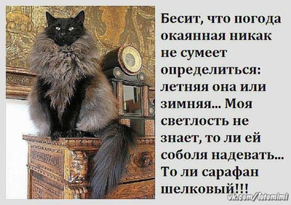 Бесит погода окаянная