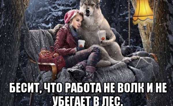 Работа не волк в лес не убежит
