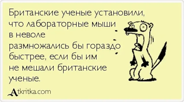 Кофе он или оно