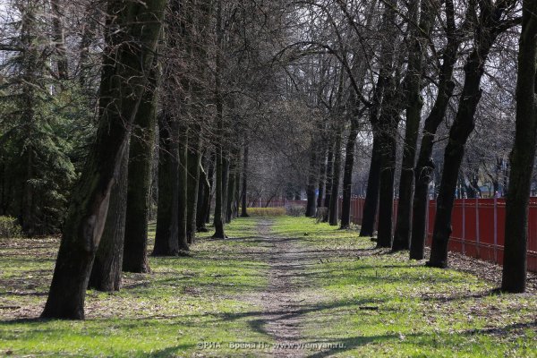 Липовая аллея Автозаводского парка