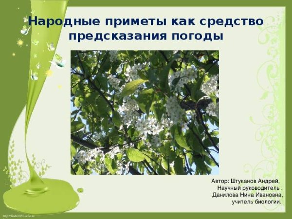 Народные приметы предсказывающие погоду