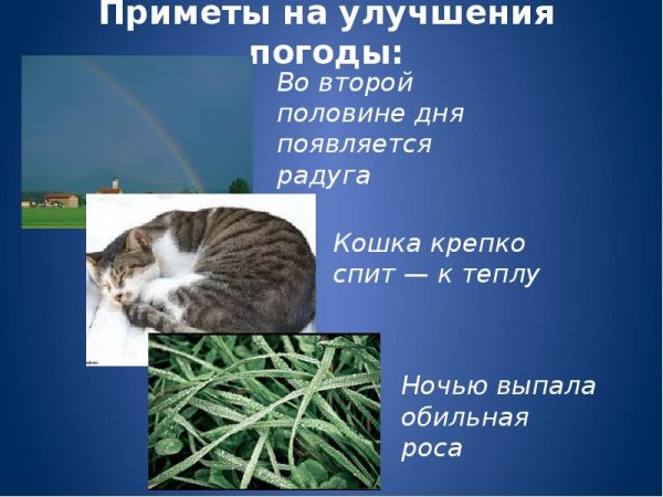 Народные приметы о погоде