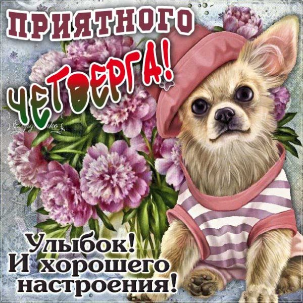 Привет хорошего дня и отличного настроения