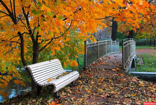 Осень скамейка