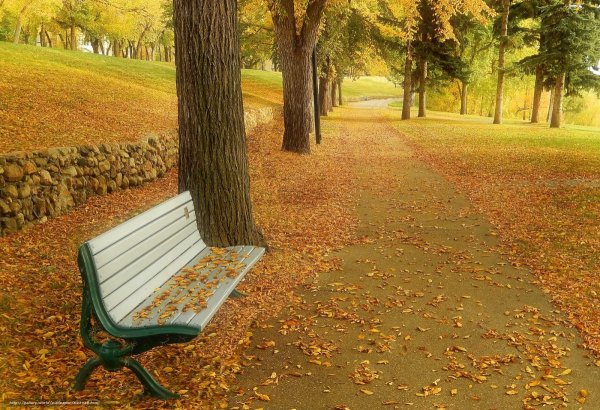 Осень скамейка