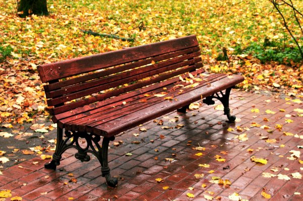 Мокрая скамейка