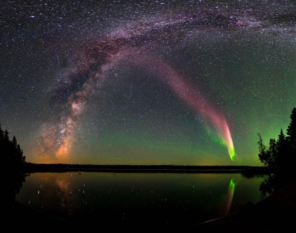 Полярное сияние Стив