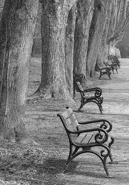 Лавочка в парке