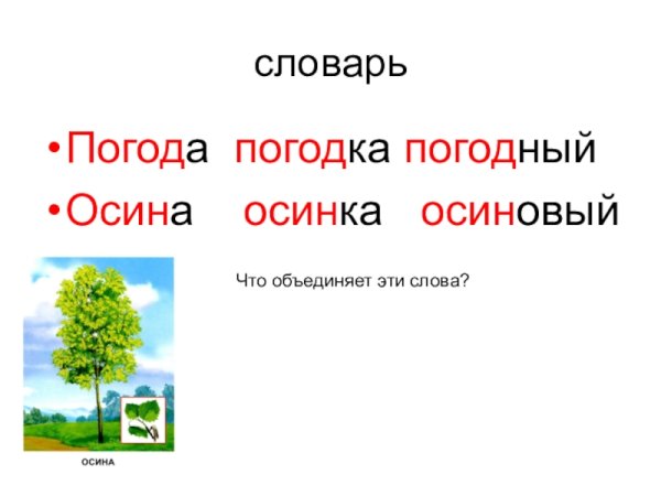 Словарное слово осина