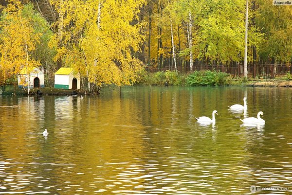 Парк Сормово Нижний Новгород