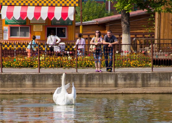 Сормовский парк Нижний Новгород