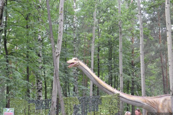 Тарзанка в Нижнем Новгороде Сормовский парк