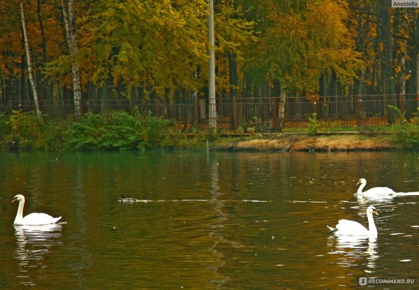 Сормовский парк Парковое озеро