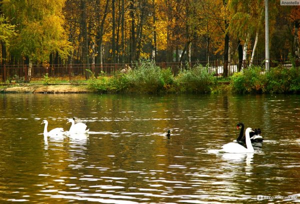 Сормовский парк