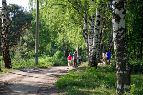 Сормовский парк парк