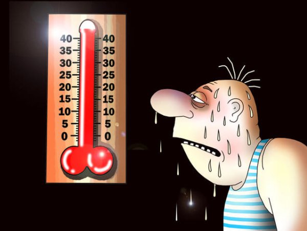 Прикольный градусник